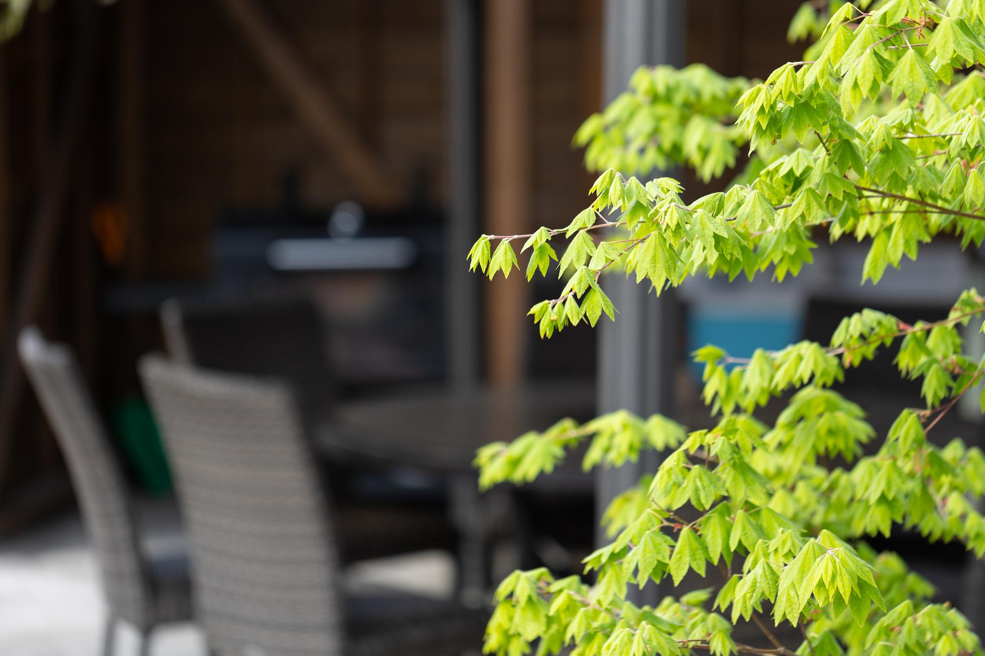 ロックガーデン