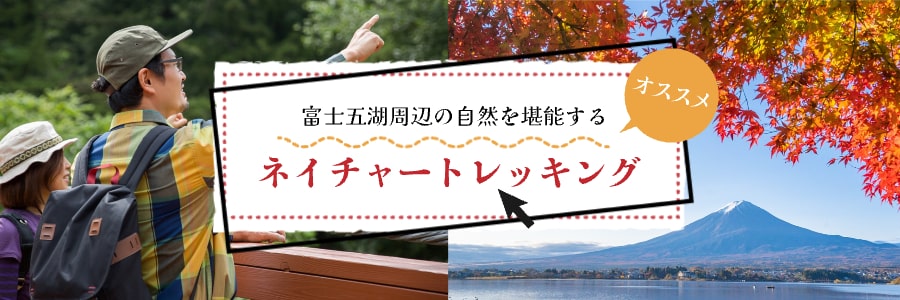 ネイチャートレッキング