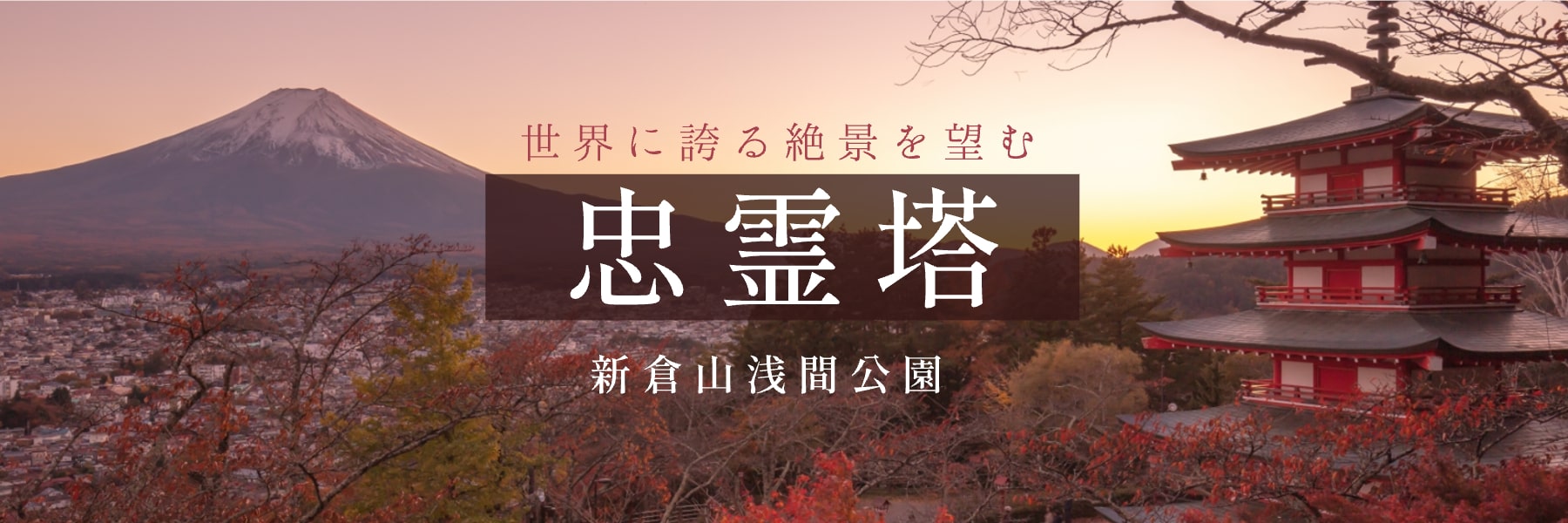 世界に誇る絶景を望む忠霊塔新倉山浅間公園