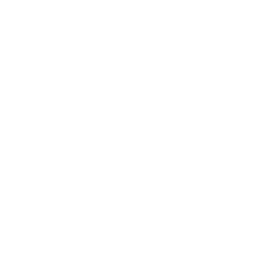 synapse
